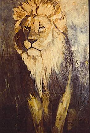 animal10