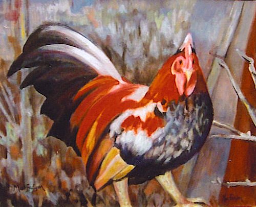 animal15