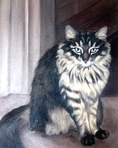 animal19