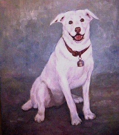 animal8