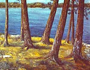 landscape1